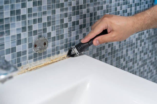 Best Residential Mold Removal  in Spencerville, OH